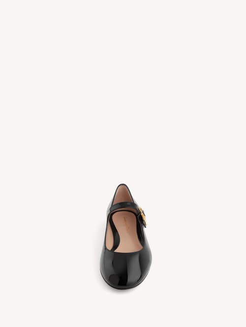 Shop Gianvito Rossi Mary Ribbon 05 Ballerina In Black