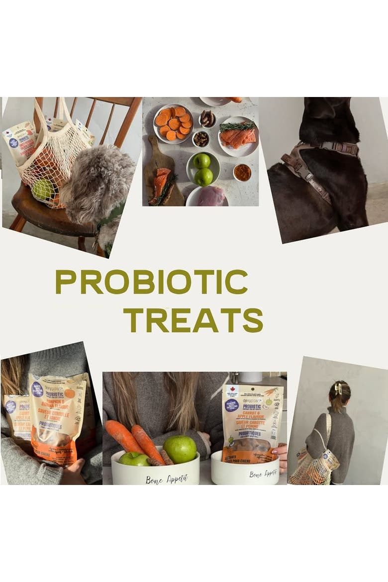 Pumpkin & Banana 8oz Probiotic Dog Treats, Alternate, color, Orange