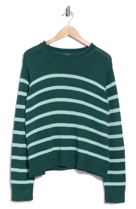 Stripe Roll Neck Cotton Sweater