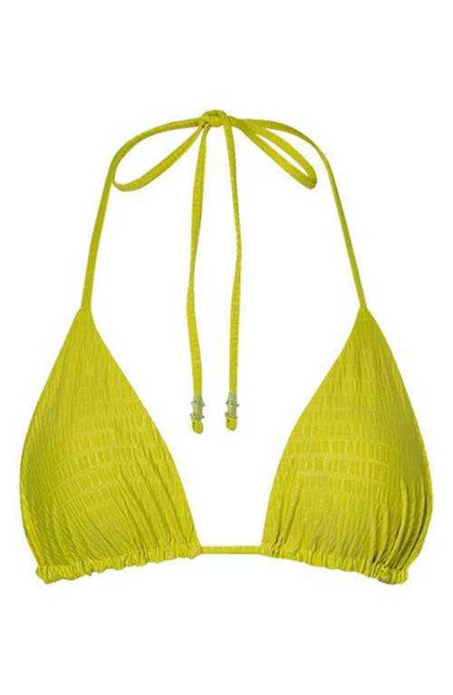Maaji Balmy Reversible Triangle Bikini Top In Green