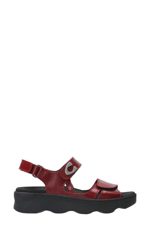 Wolky Medusa Sandal In Oxblood