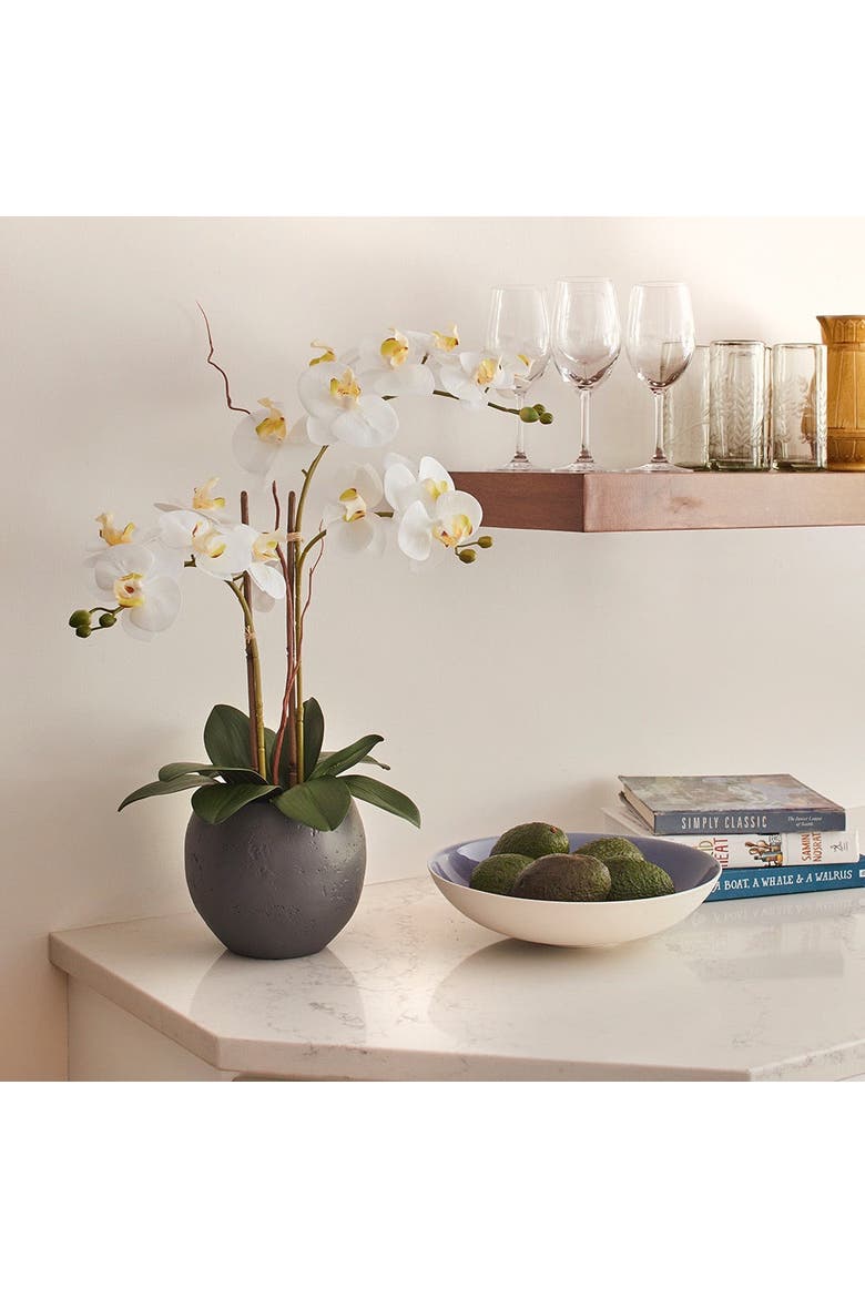 Artificial White Double Stem Orchid, Alternate, color, White and Grey