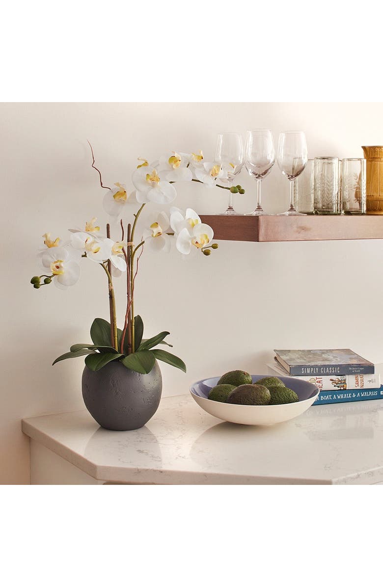 CG Hunter Artificial White Double Stem Orchid, Alternate, color, White And Grey