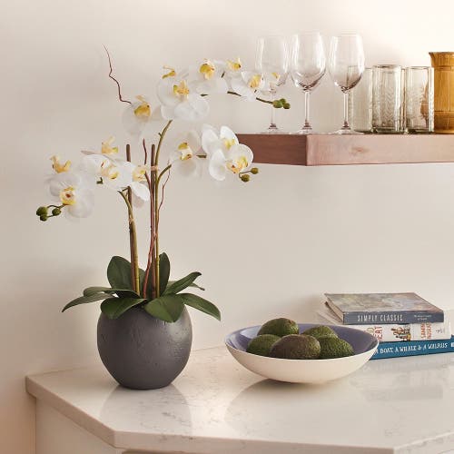 Cg Hunter Artificial White Double Stem Orchid In Multi