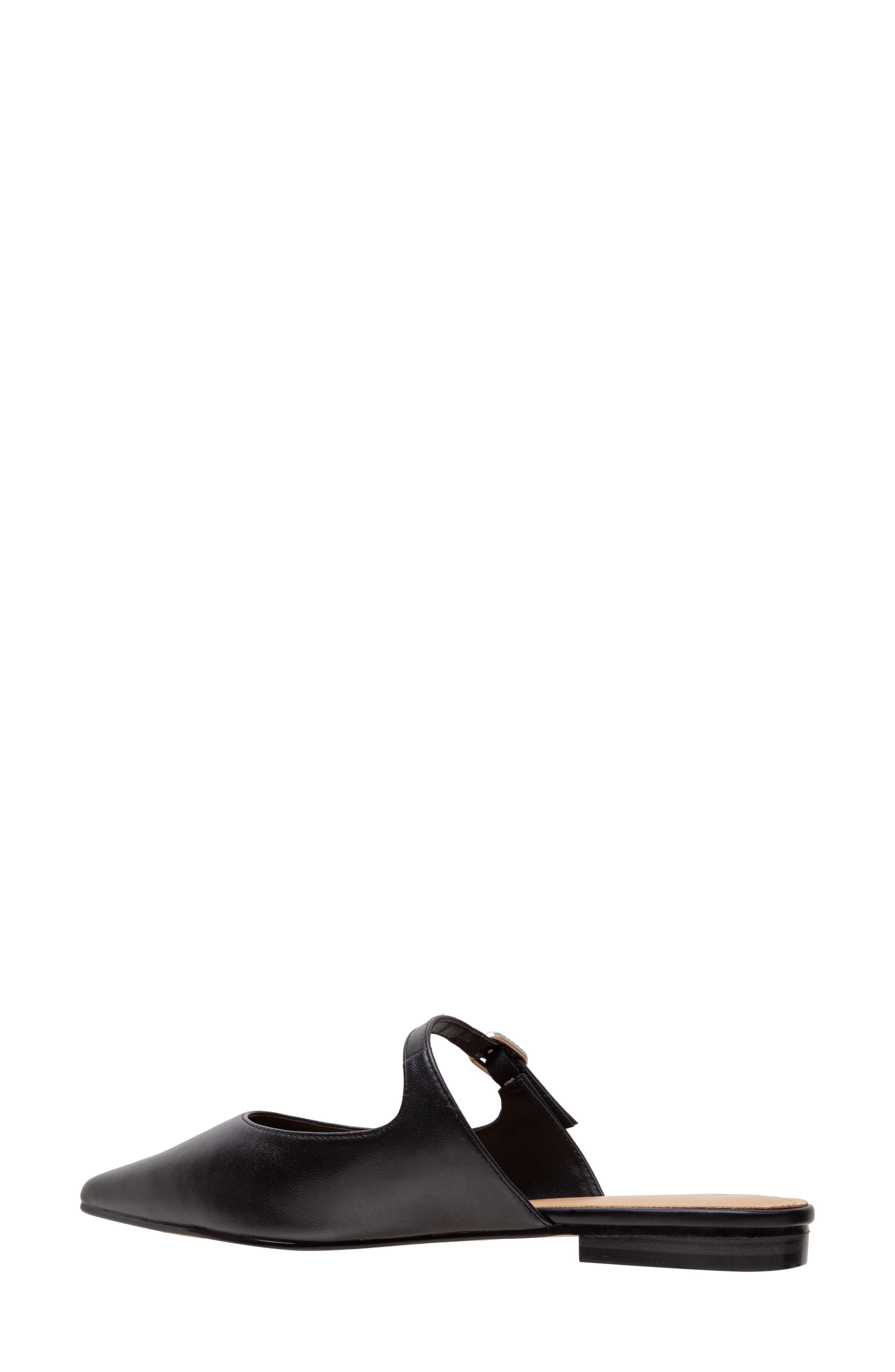 Lisa Vicky Moment Pointed Toe Mule, Alternate, color, 