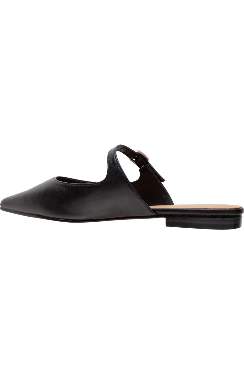 Lisa Vicky Moment Pointed Toe Mule, Alternate, color,