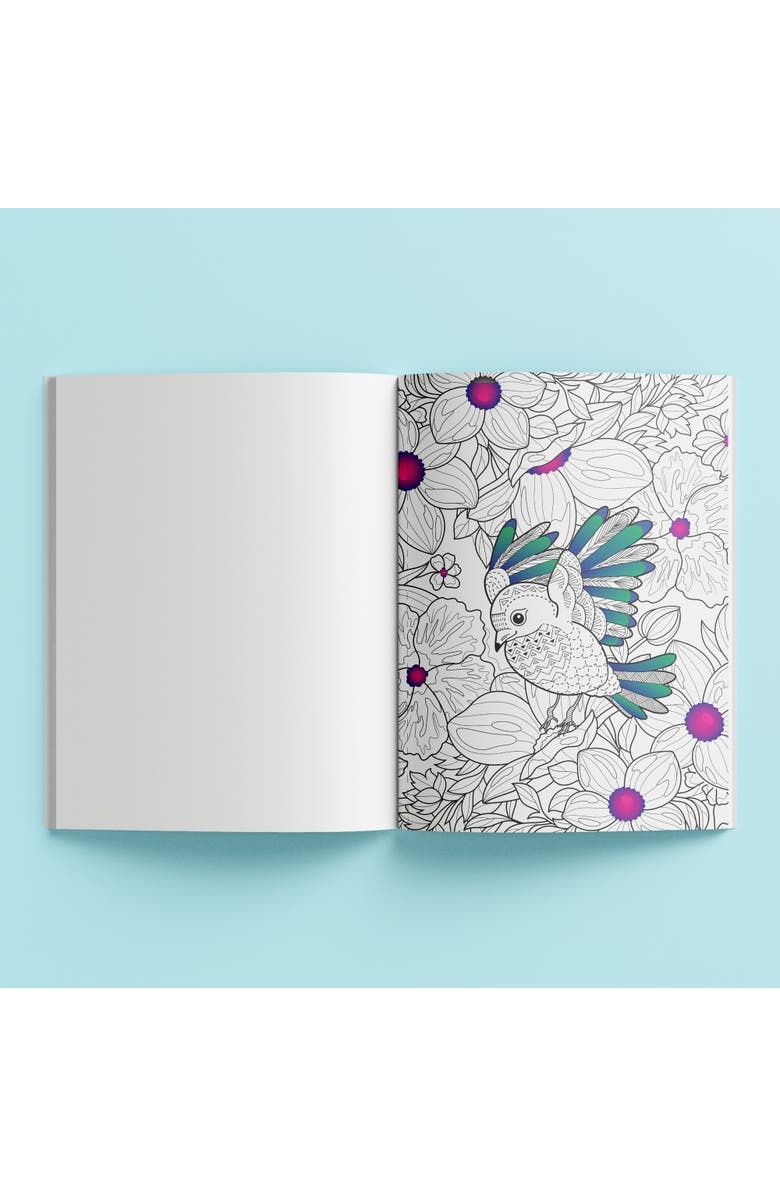 Art Maker Pop Velvet, Botanicals, Adult Creative Coloring, 16 Designs, Alternate, color, Multicolored