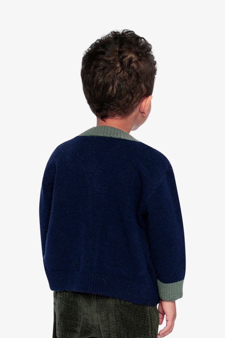 Dino Embroidered Colorblock Pocket Knit Cardigan, Alternate, color, Dark Blue, Green and Yellow