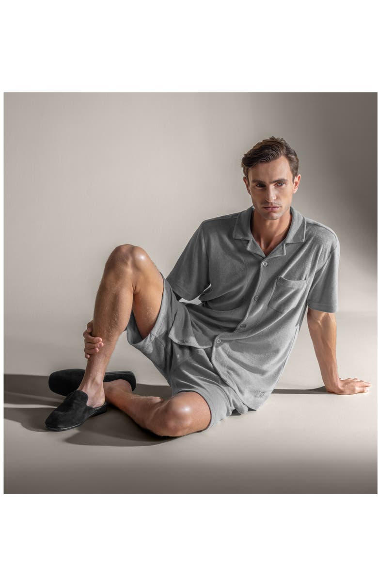 Togas Terje Men's shirt, Alternate, color, Grey