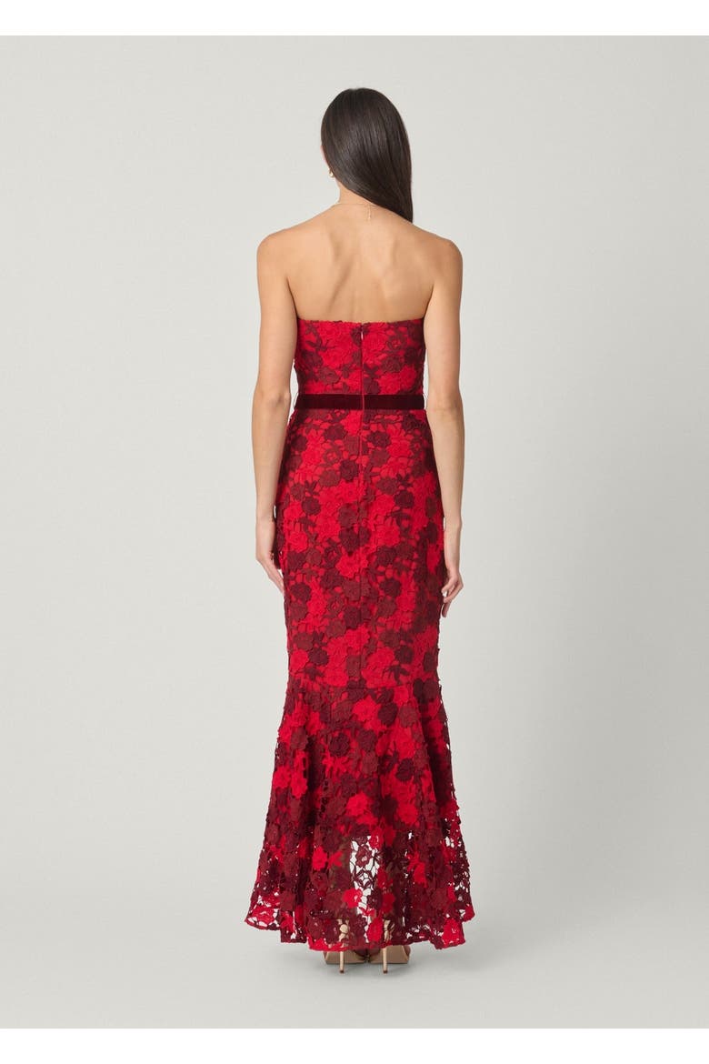 Midnight Cierra Delancey Lace Dress, Alternate, color, Red/Burgundy