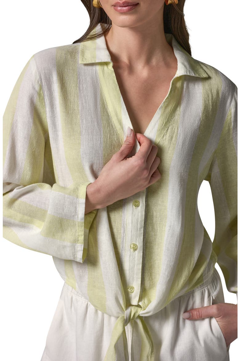 Yarn Dye Stripe Crop Linen Blend Button-Up Shirt, Alternate, color, LIMONCEL/ C