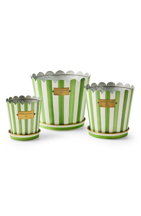 Grass Green Stripe Set of 3 Pots & Saucers