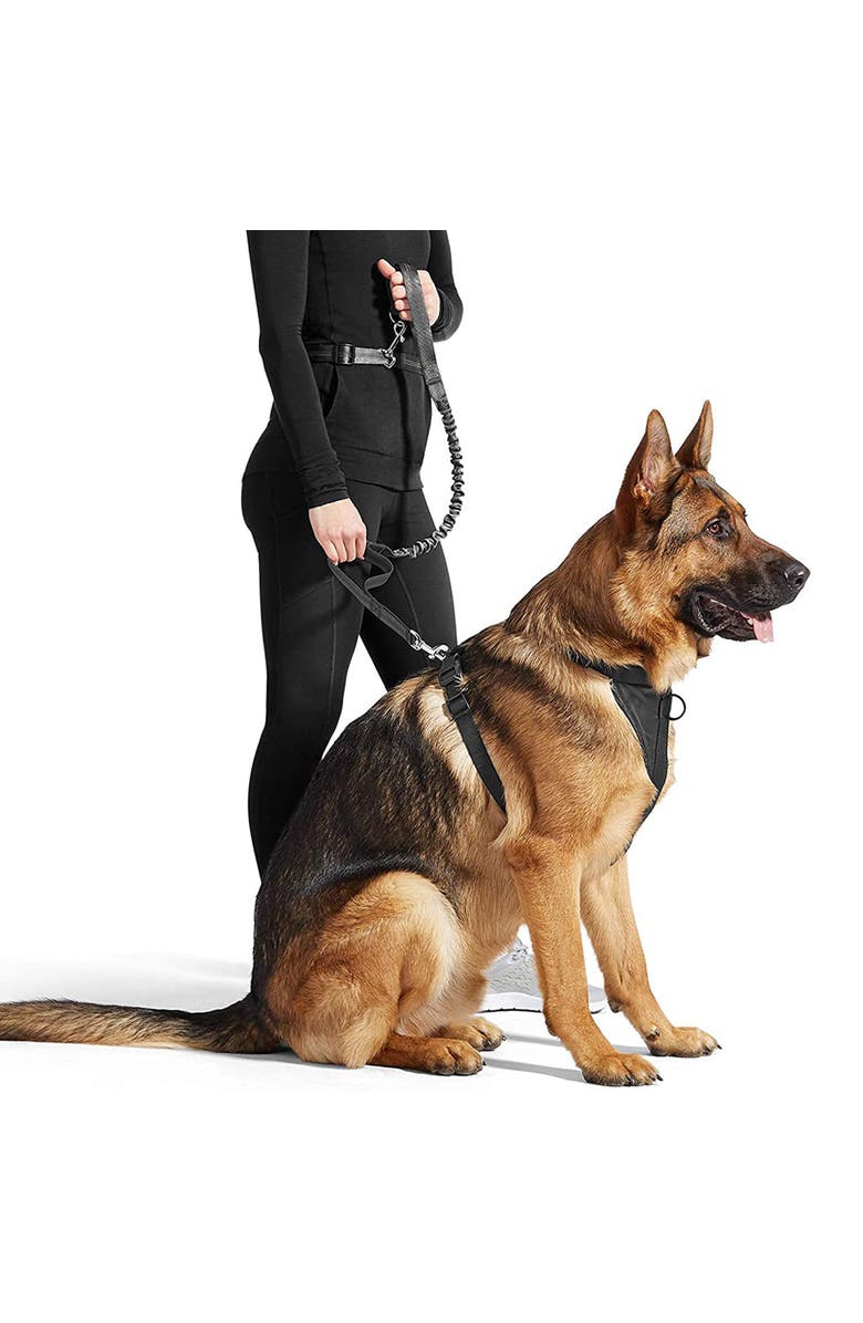 JESPET Hands Free Bungee Dog Leash Green, Medlg Dogs, Up To 150Lb, Alternate, color, Green