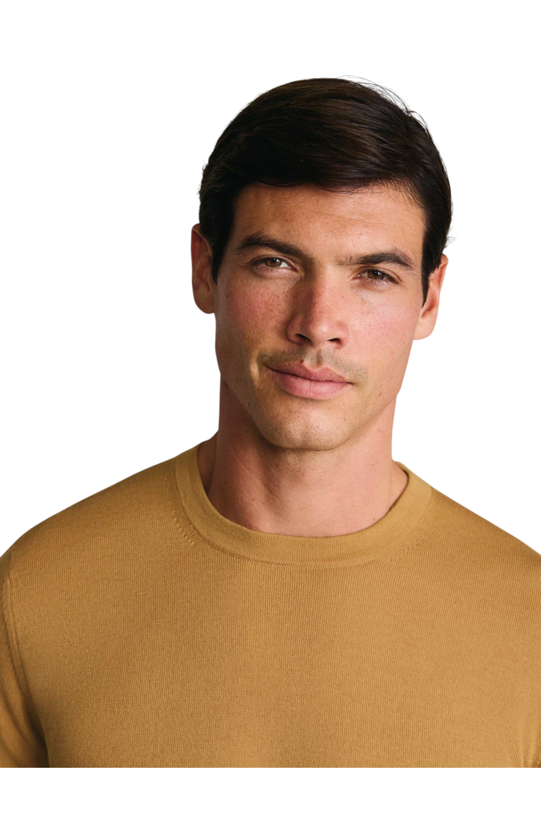 Charles Tyrwhitt Merino Crew Neck Sweater, Alternate, color, Camel