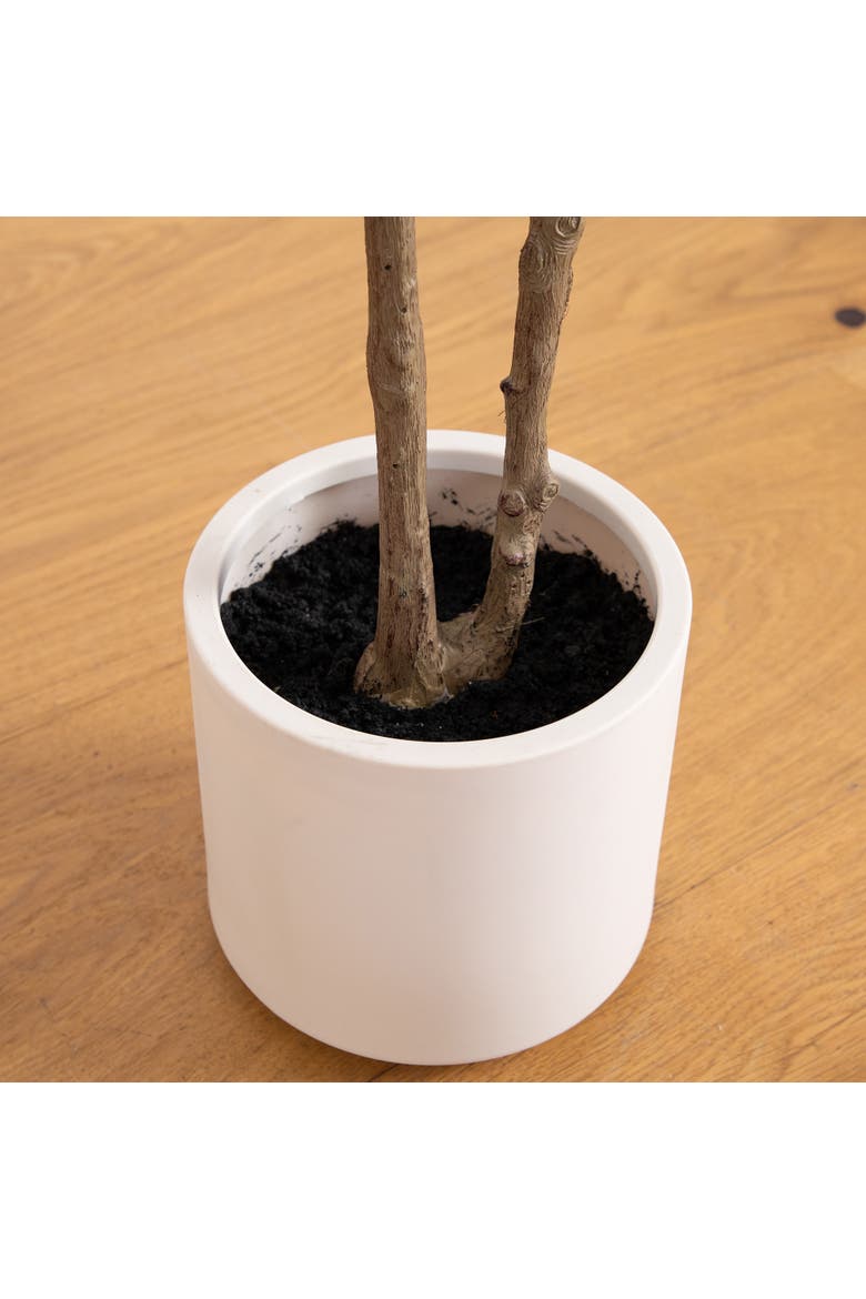 5-ft Artificial Minimalist Olive Tree in White Decorative Planter, Alternate, color, Green