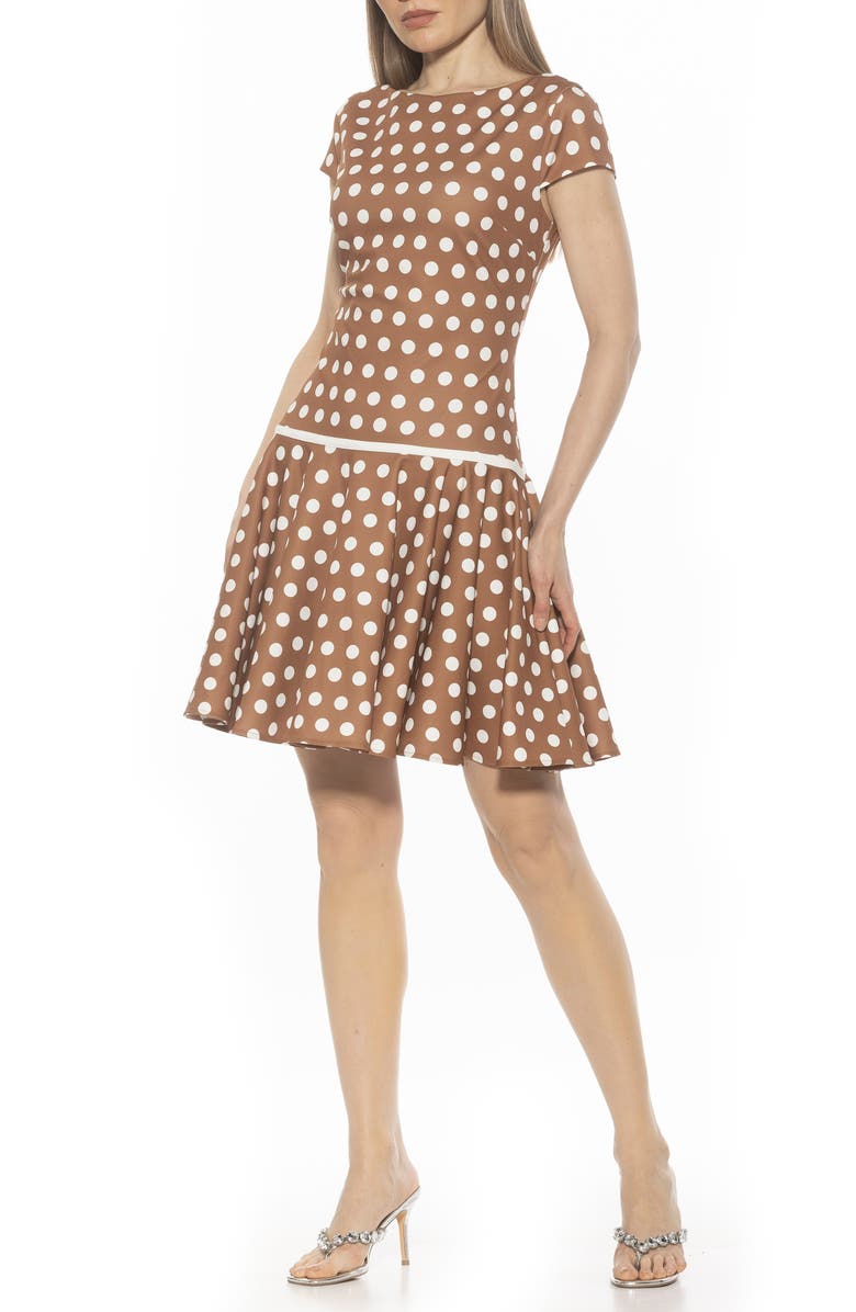 Drop Waist Dress