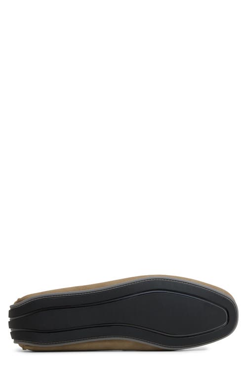 Call It Spring By Aldo Carmichael Bit Driving Loafer In Brown