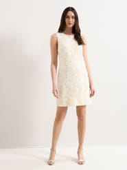 Phase Eight Bryony Sleeveless Lace Mini Dress