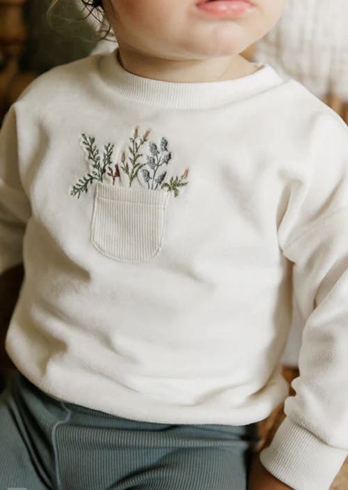 Ely's & Co. Velour Pocket Full Of Flowers Collection In Ivory/blue