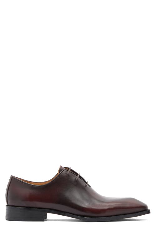 Maison Forte Director Wholecut Oxford In Chestnut