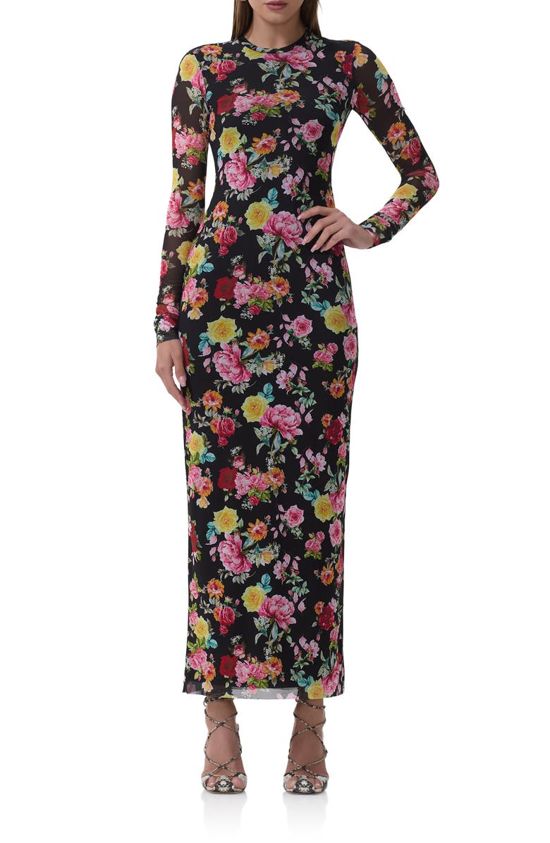 AFRM Didi Printed Long Sleeve Mesh Maxi Dress, Main, color, Spring Rose