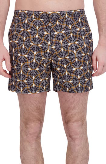 Robert Graham Quick Dry Swim Trunks In Scales