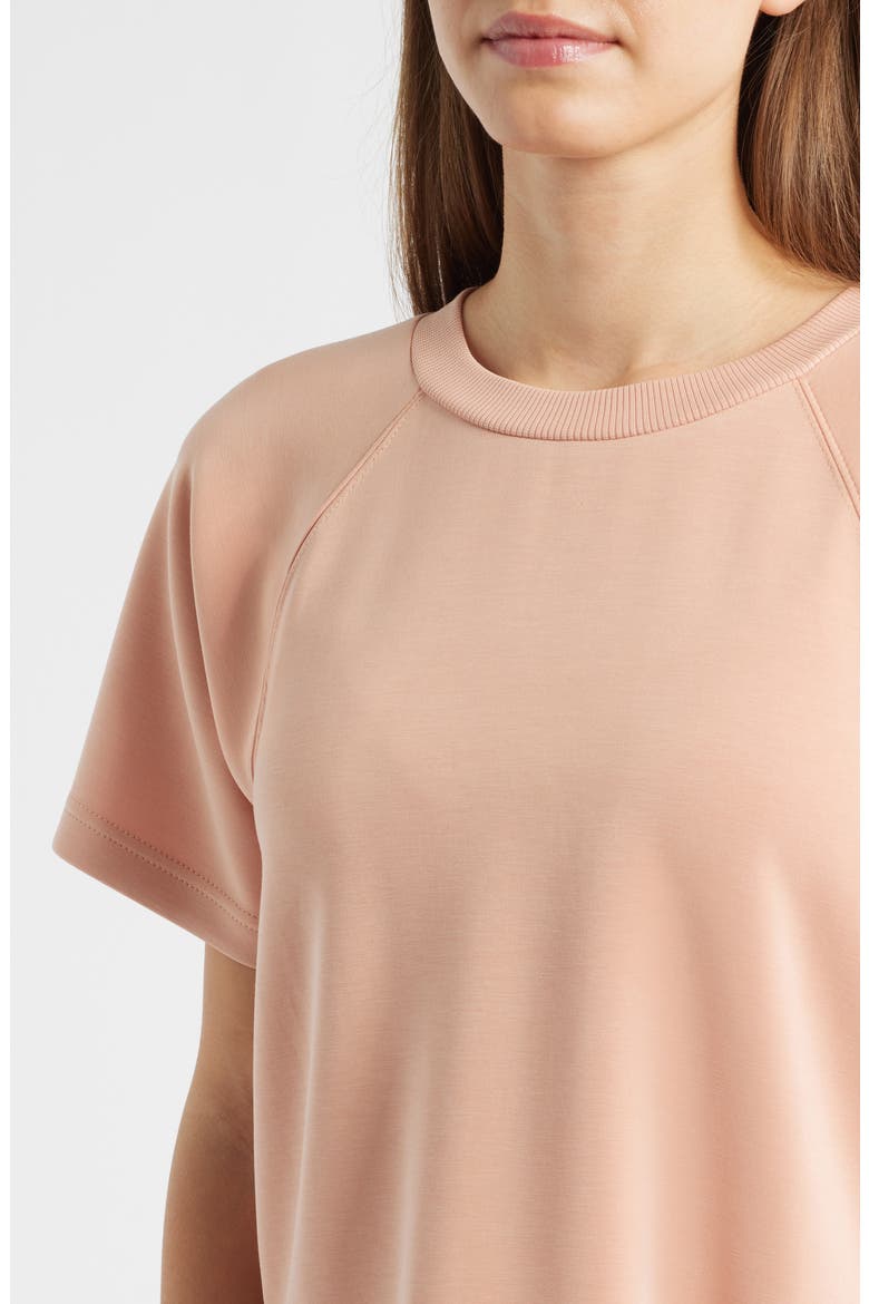 Raglan Sleeve T-Shirt, Alternate, color, CONCH