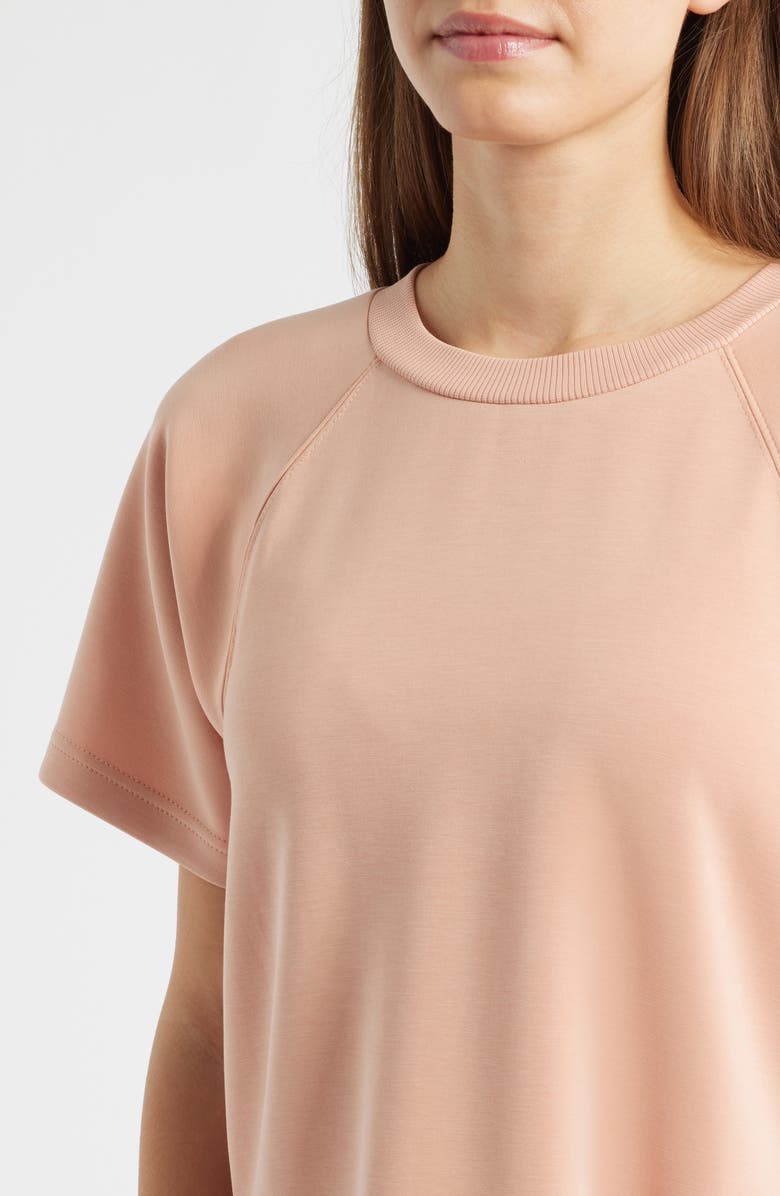 CITY BLUES Raglan Sleeve T-Shirt, Alternate, color, Conch