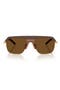  Moretto / Brown Polar