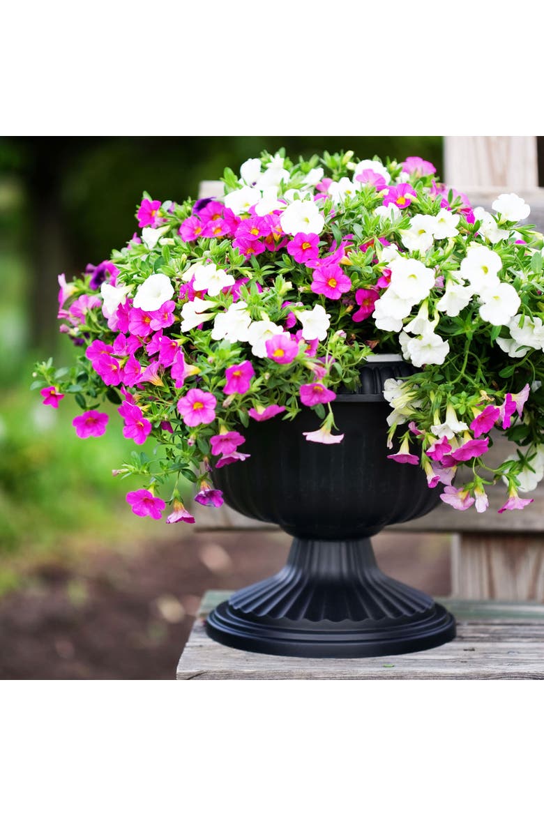Grecian Urn Planter 12 Inch Casper White, Black, Alternate, color, Black