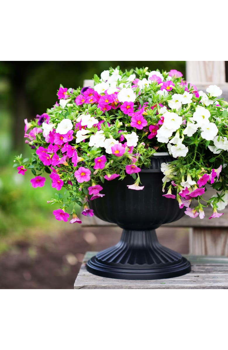 Bloem Grecian Urn Planter 12 Inch Casper White, Black, Alternate, color, Black