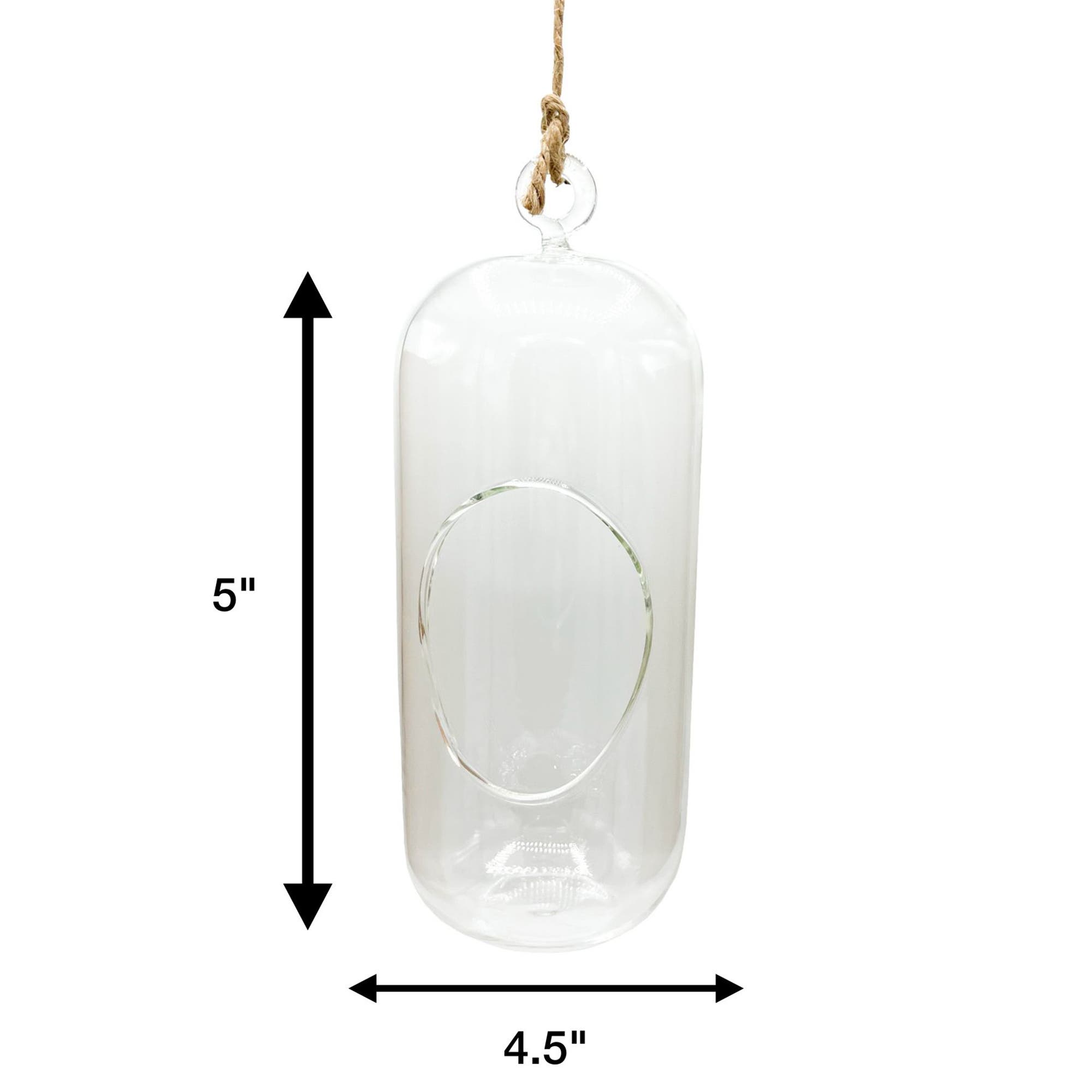 Unique Gardener Carefree Capsule Glass Terrarium | Nordstrom