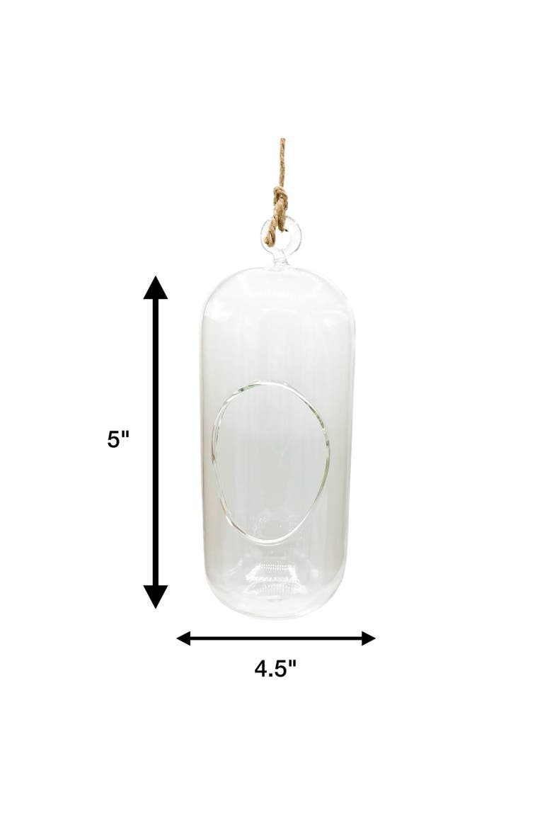 Carefree Capsule Glass Terrarium, Alternate, color, Clear