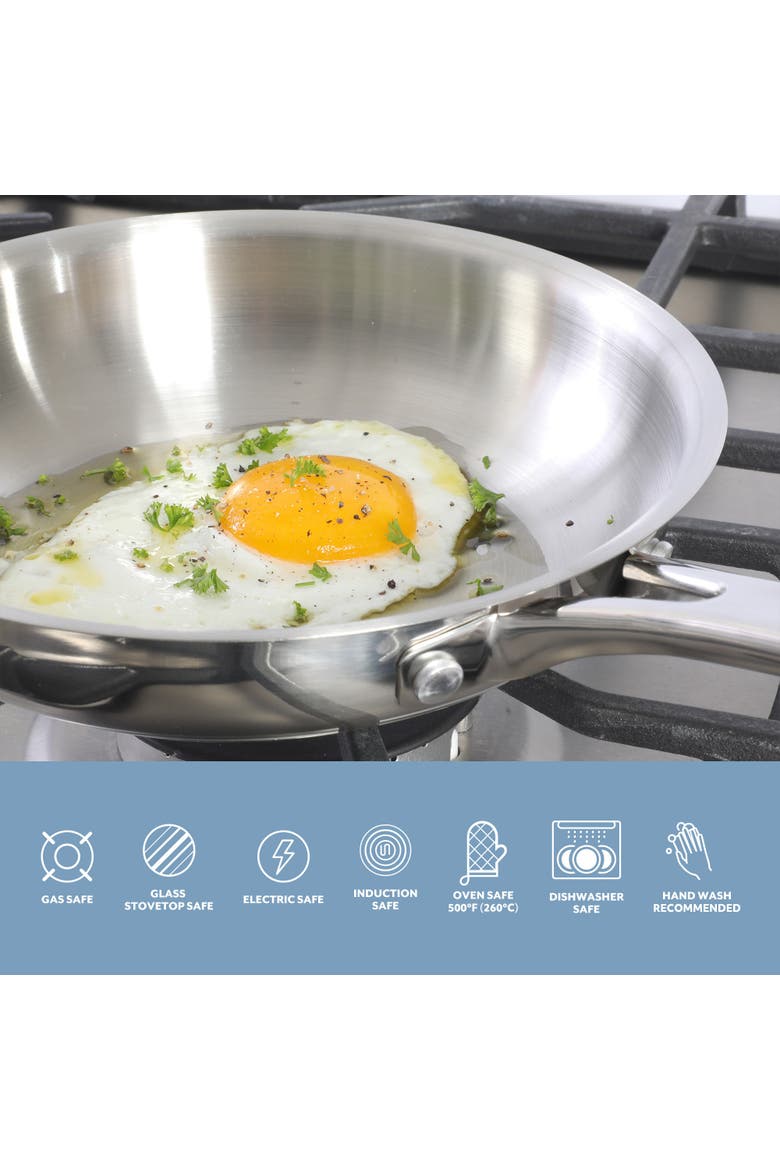 8-Inch Stainless Steel Frying Pan, Induction Ready Skillet, Alternate, color, Stainless Steel