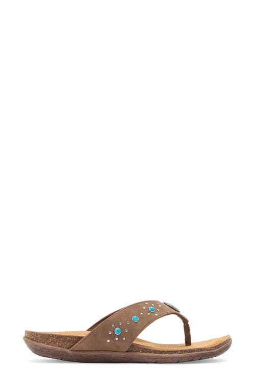 Mykos Jovie Flip Flop In Brown