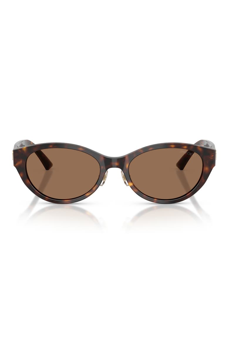 55mm Oval Sunglasses, Main, color, HAVANA / DARK BROWN