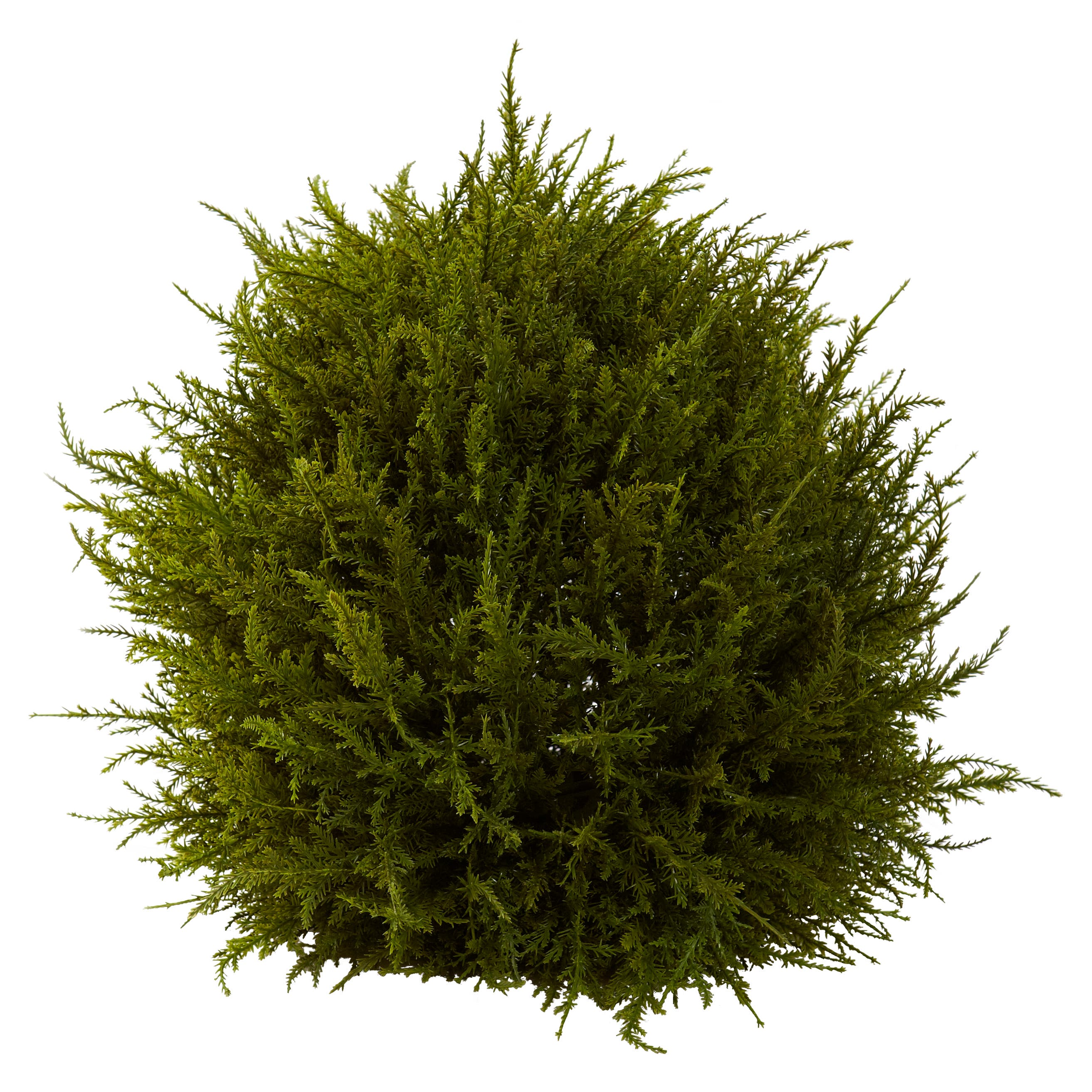 selected Green