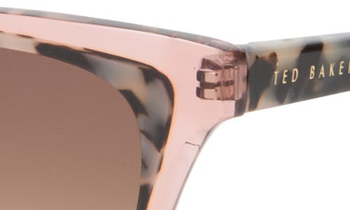 Ted Baker London 55mm Gradient Cat Eye Sunglasses In Brown