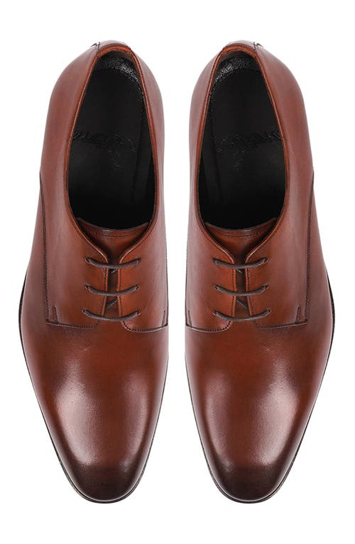 Vellapais Gorman Oxford In Cognac