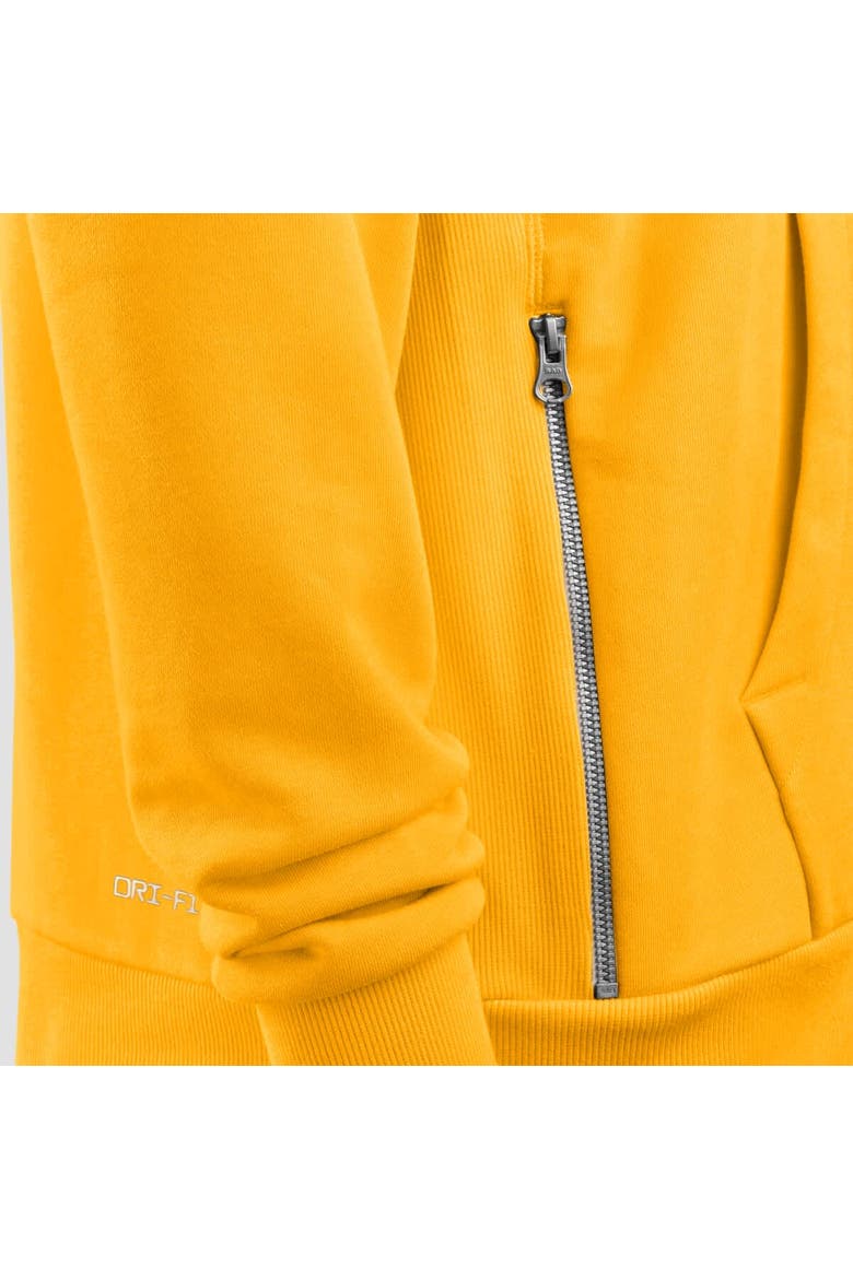Men's Nike Gold Pittsburgh Steelers Alt Sideline Standard Issue Dri-FIT Hoodie, Alternate, color, Gold