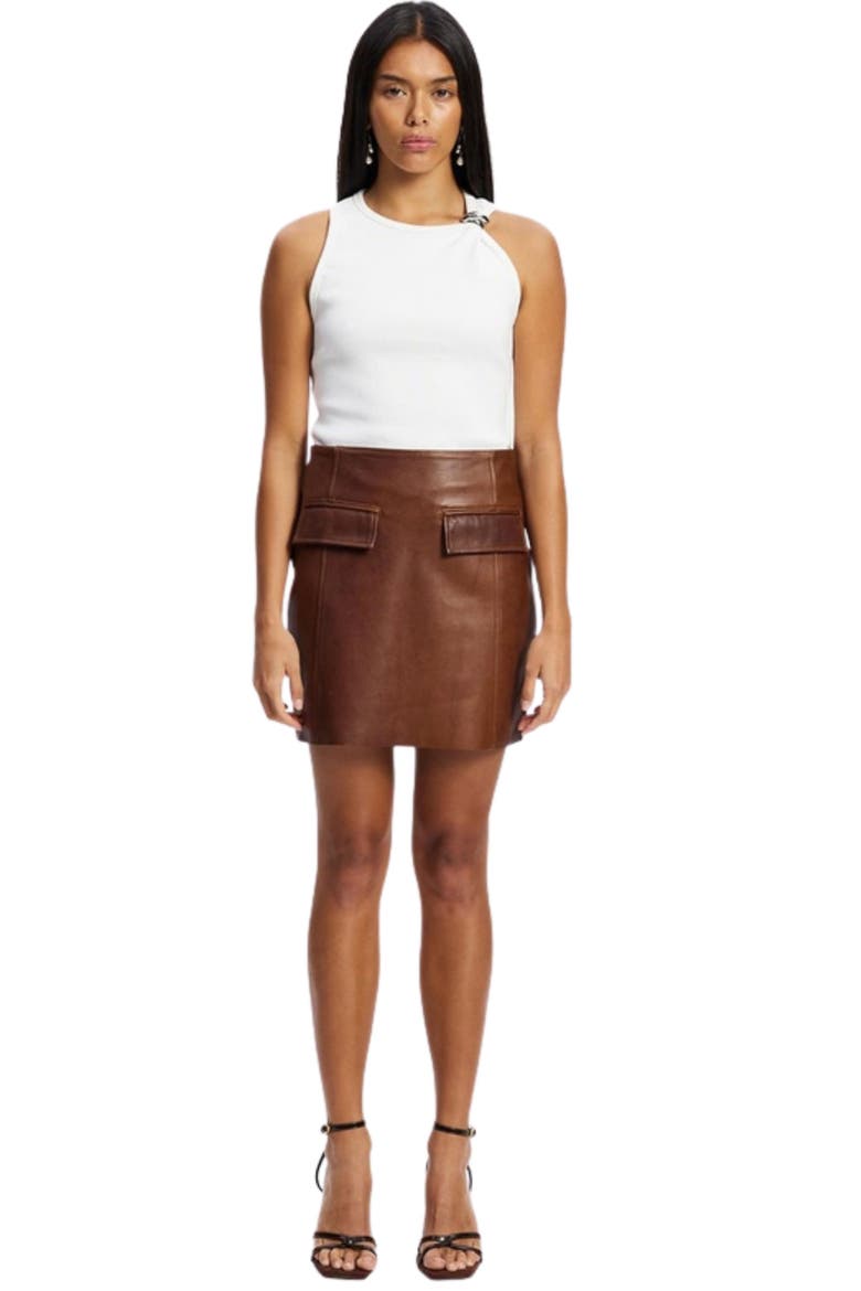 Delmar Leather A-Line Skirt, Main, color, Vintage Chocolate