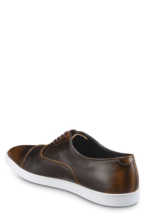 Allen Edmonds Park Sneaker In Vintage Hickory