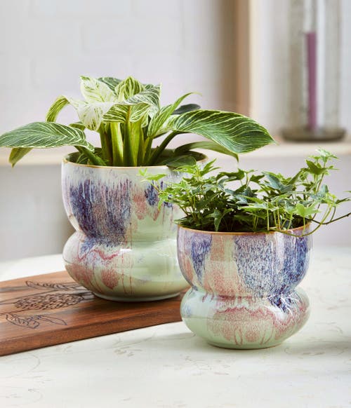 Tag Large Purple Multi Ceramic Uma Planter For Garden Decor In Multi