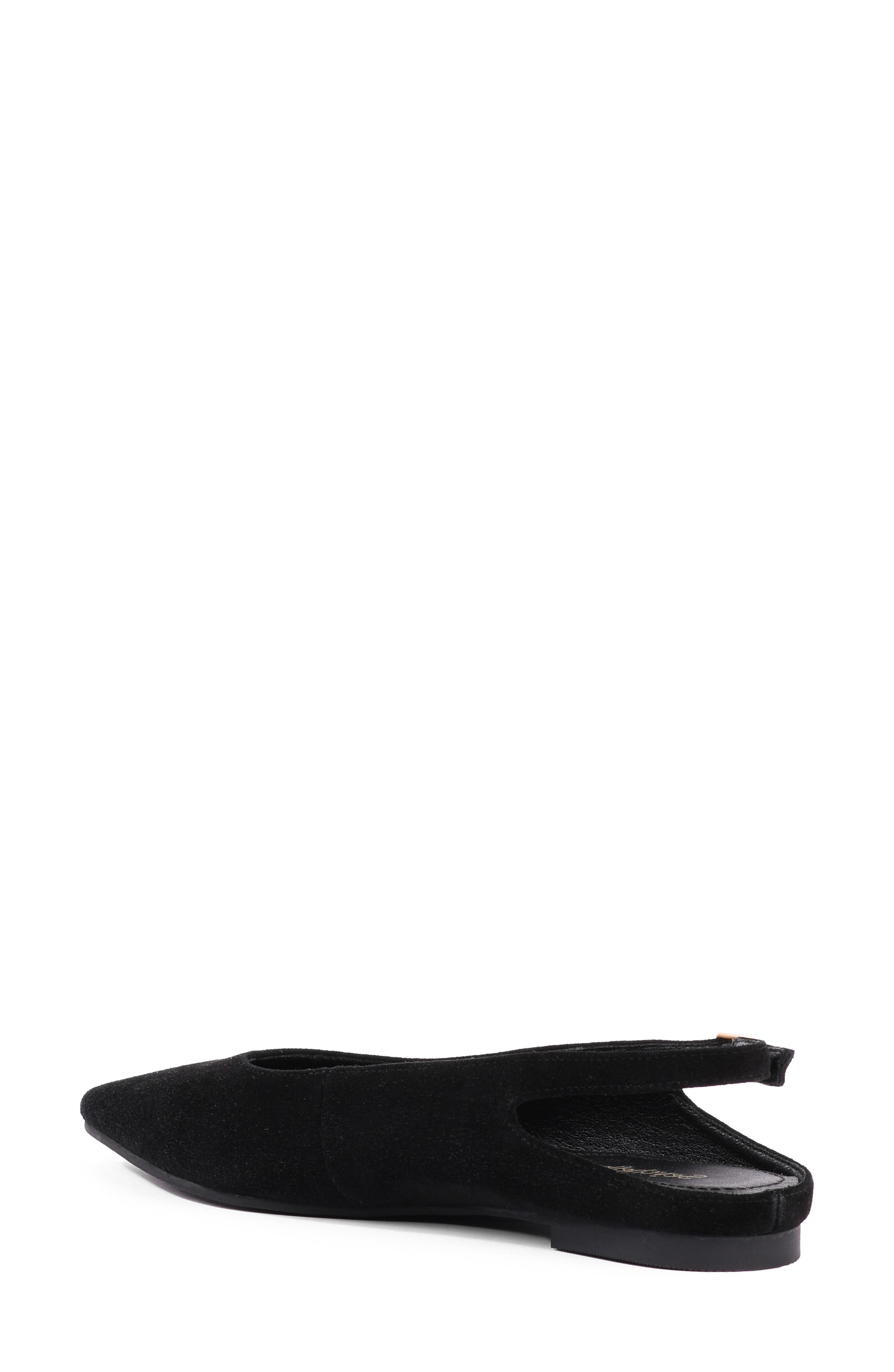 Alameda Pointed Toe Slingback Flat, Alternate, color, BLACK