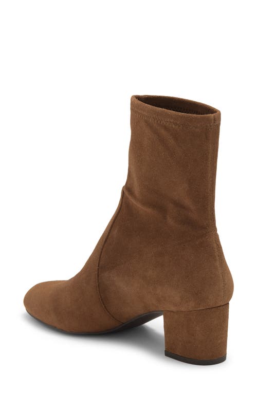 Stuart Weitzman Sofia Stretch Bootie In Brown