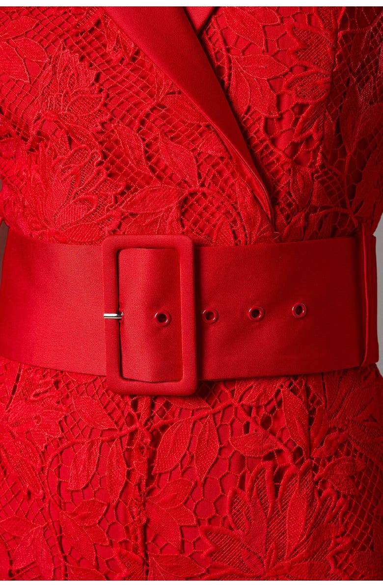 Coast Lisa Lace Belted Jumpsuit, Alternate, color, Red