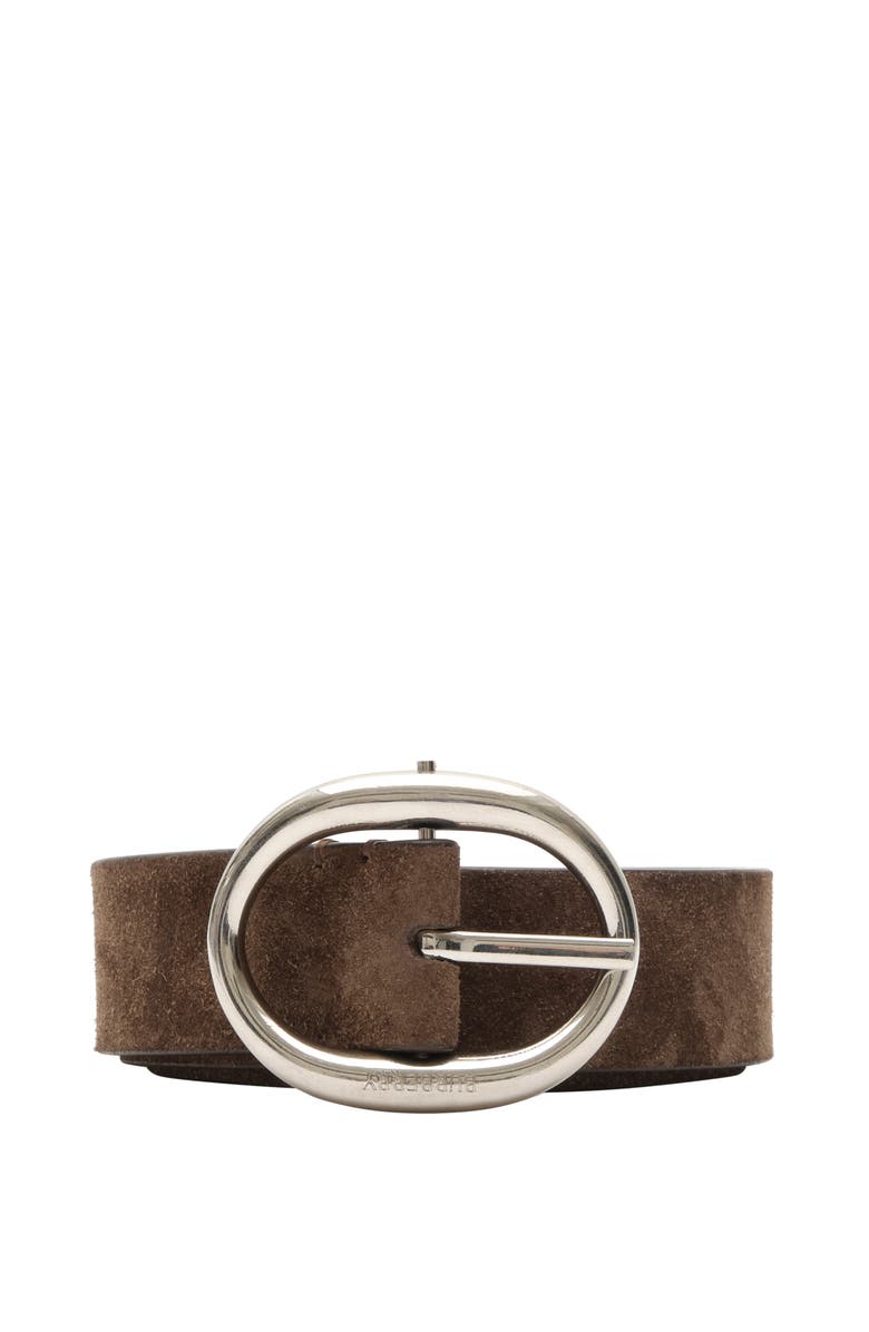 Burberry Suede Bloomsbury Belt, Main, color, 