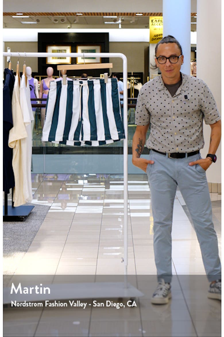 Playa Stripe Swim Trunks video