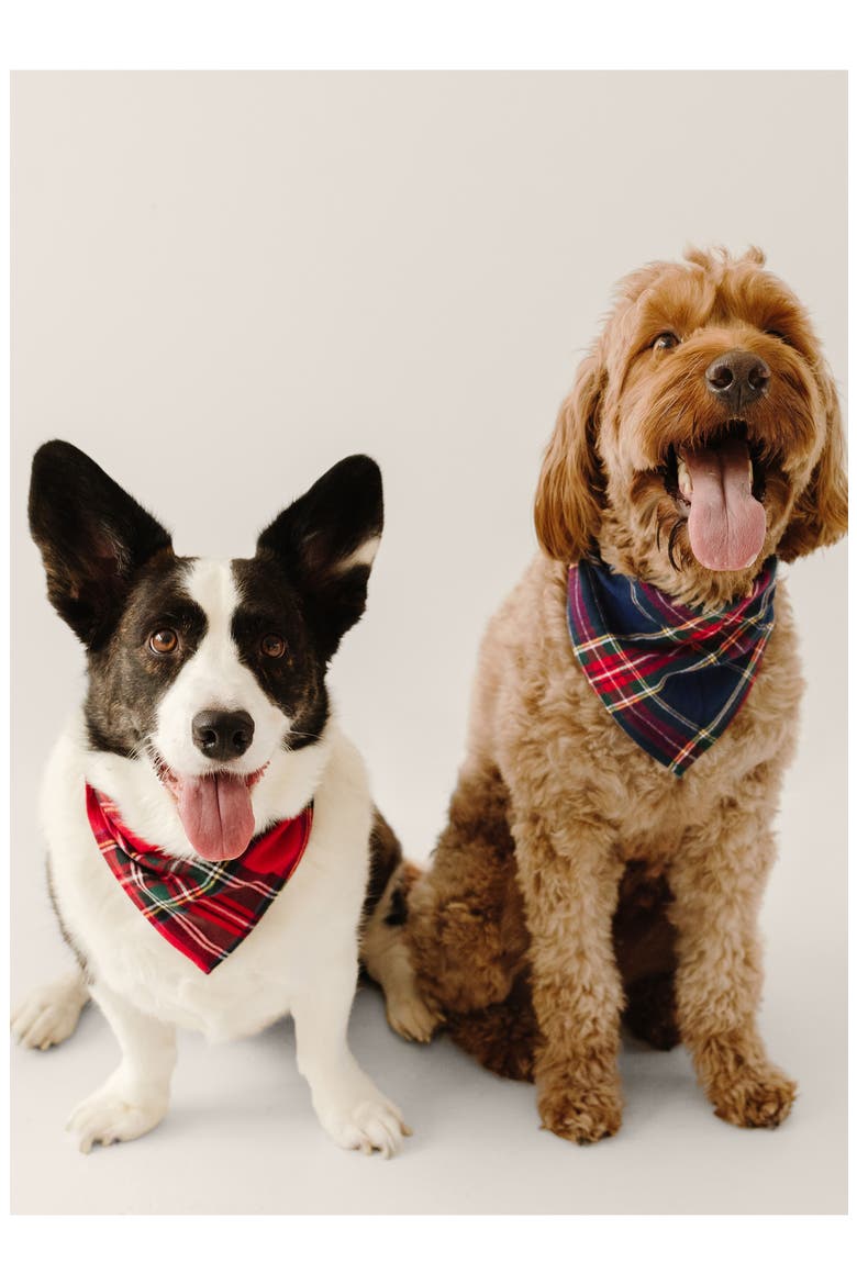 Imperial Tartan Dog Bandana, Alternate, color, RED