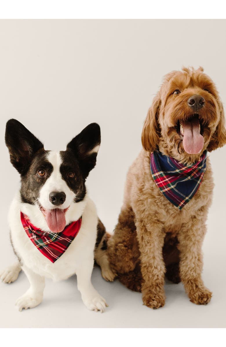 Petite Plume Imperial Tartan Dog Bandana, Alternate, color, Red
